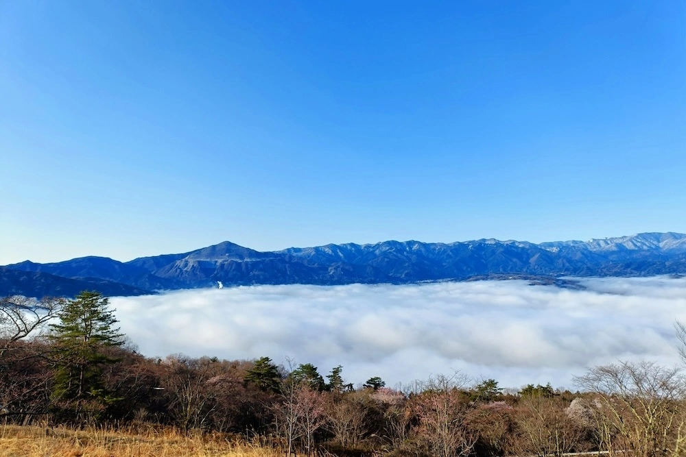 美の山公園（山頂展望台）（住所：秩父市）